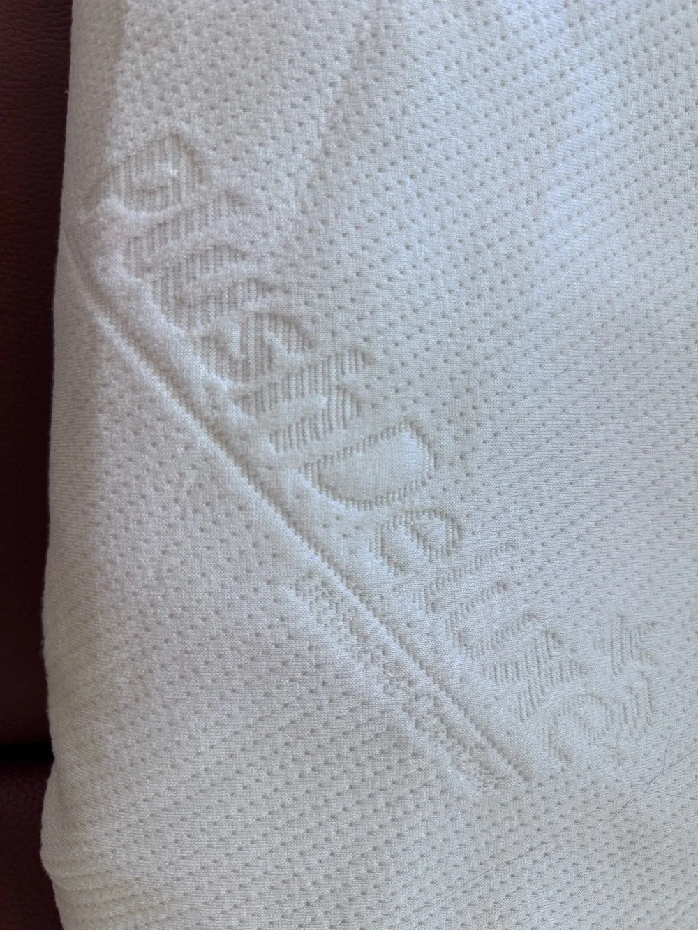 PlushDeluxe 100% Bamboo Queen Mattress Cover